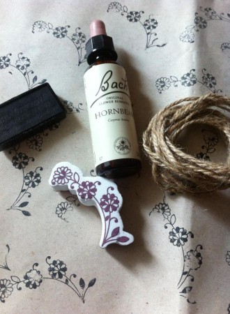 Užívání a dávkování Bachových esencí